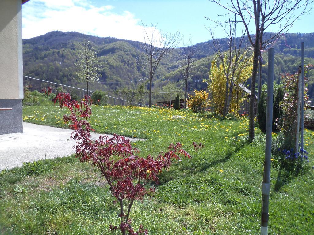 Apartments Petrin Tolmin Luaran gambar