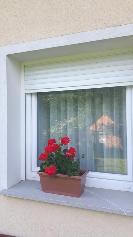 Apartments Petrin Tolmin Luaran gambar